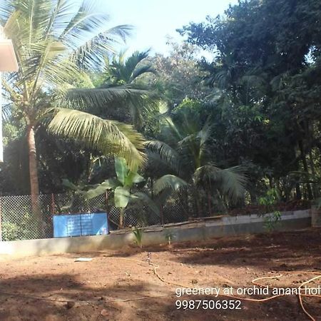 Orchid Anant Holidays อลีบาก ภายนอก รูปภาพ